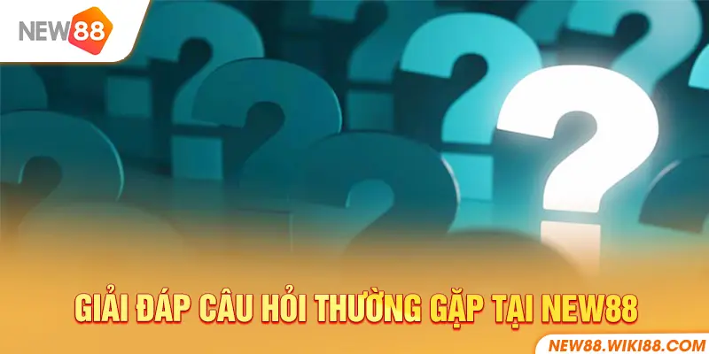 Giải đáp các câu hỏi thường gặp từ cộng đồng người chơi NEW88